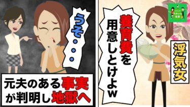 【LINE】元夫とデキ婚した浮気女「養育費用意しとけよ(笑)！」→後日、子供の父親が○○だったと判明し地獄の展開に…w【スカッと】【スカッと生活】