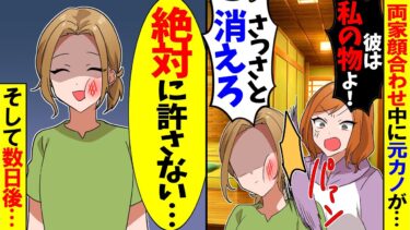 【スカッと】両家顔合わせ当日夫の幼馴染が突然「彼と結婚するから出て行け！」と怒鳴ってきた→自分の方が愛されてると張り合ってきたが幼馴染の反応が…【漫画】【アニメ】【スカッとする話】【2ch】【モニロボ】