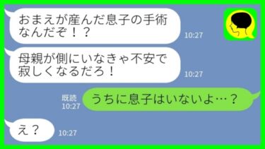 【LINE】夫から突然のブチ切れ連絡「息子の手術なんだぞ！母親がいなくてどうする！」私「うちに息子はいないよ…？」→夫の両親と共に病院に向かった結果www【ミドリのネタ帳】