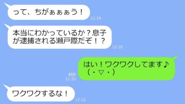 【LINE】DQNママ友「うちの夫は警察官、アンタの息子を逮捕されたくなかったら慰謝料寄こせ」→私「うちの子は○○ですけど？→「え？」【修羅場】【総集編】【LINEサロン】