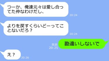 【LINE】5年前、妹に奪われた元旦那から復縁要求「妹の子供を一緒に育てようｗ」→提案がアフォ過ぎる迷惑男にある真実を告げた結果ｗ【LINEサロン】