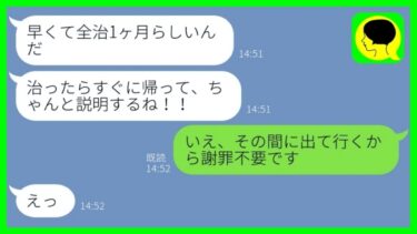 【LINE】結婚記念日をドタキャンして浮気旅行中の旦那からSOS「事故にあって帰れない」→嘘の出張がバレた夫が全てを失った時の反応が…w【総集編】【ミドリのネタ帳】