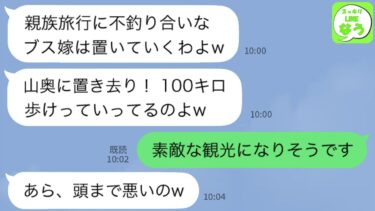 【LINE】私が大富豪の社長令嬢だと知らず義母の還暦旅行中に山奥に捨てた姑「お前と旅行とかムリw100キロ歩いて帰れw」→父に自家用ヘリで迎えに来てもらい先回りして帰宅するとwww【スッキリLINEなう】