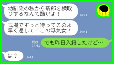 【LINE】結婚式当日に幼馴染から突然のブチギレ連絡「私の新郎を返せ！」私「昨日入籍したけど…」→新郎を問い詰めると、衝撃の事実が……【ミドリのネタ帳】