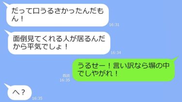 【LINE】雪が降る真夜中にボロボロの義母が「一晩だけ泊まらせて…」→同居していた兄夫婦に追い出され家に来た。その後…ｗ【修羅場】【総集編】【LINEサロン】