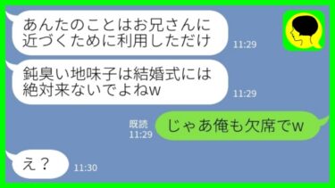 【LINE】弁護士の兄と結婚した私の幼馴染から連絡「あんたのことはお兄さんに近づくために利用しただけ！式には来るなw」兄「俺も欠席でw」→狡猾女の計画が一瞬で崩壊した結果www【ミドリのネタ帳】