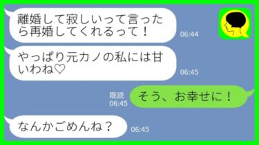 【LINE】夫を奪った元カノ「離婚して1人で寂しいって言ったら再婚してくれるって！」私「そう、お幸せに！」→元カノにある事実を伝えた時の反応がwww【ミドリのネタ帳】