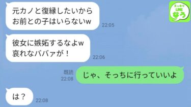 【LINE】夫「元カノと復縁できるかもしれないから、子供はまだいいわw」→毎日元カノと比較する夫と別れた結果…【スッキリLINEなう】