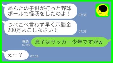 【LINE】近隣住民「お宅のお子さんが打った野球ボールで怪我をした！示談金よこせ！」私「息子はサッカー少年ですがw」→強気な奥様に完璧な無実の証明をした結果www【ミドリのネタ帳】