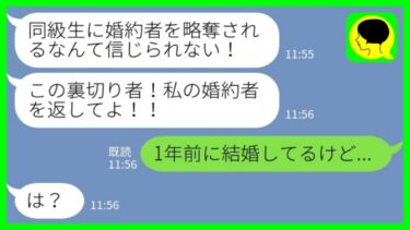 【LINE】10年ぶりに再会した同級生から突然のブチ切れ連絡「私の婚約者を奪ったでしょ？返してよ！」私「え？1年前に結婚してるけど…」→その後、夫を問い詰めると衝撃の話が…【ミドリのネタ帳】