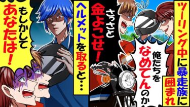 ツーリング中、田舎の国道で暴走族に囲まれ…暴走族「止まれコラァ！なめてんのか！」ヘルメットを取った俺の顔を見て暴走族の顔が青ざめ「あ、あなたは…」→結果【総集編】【今日のLINE】